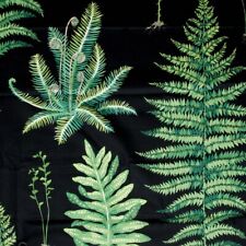 1,9 Meter x SANDERSON