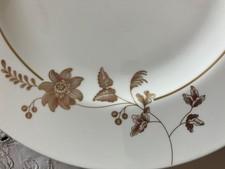 Neu! Golden Garden Villeroy&Boch V&B Speiseteller unbenutzt