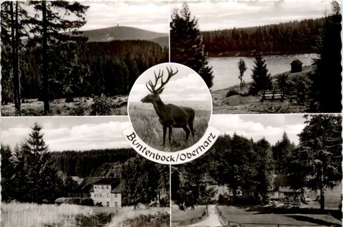 Buntenbock oberharz 386114 - oberharz, -386114