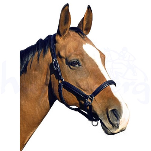 Euroriding lederhalfter new - euroriding,