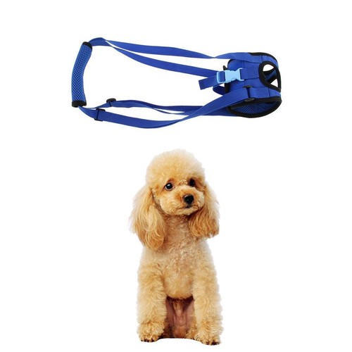 Hunde tragehilfe gehhilfe - hunde,