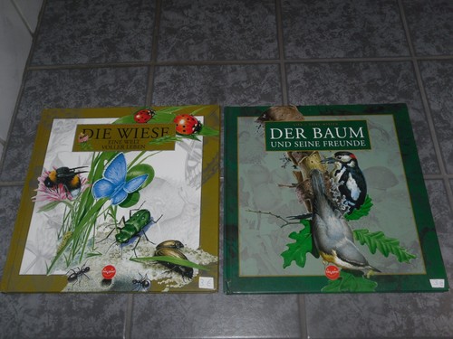 Die wiese welt voller leben - die,