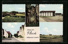 AK Plech /Fränkische Schweiz, Teilansichten, Straßenpartie, Leitern aus Schluch 