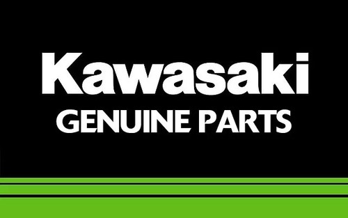 Original kawasaki mark - original,