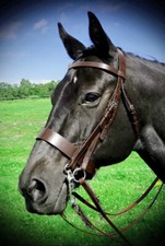 FSS English Working Hunter Show Hunt Trense 3/4" Wange EINFARBIG X BREIT 6cm Nasenriemen