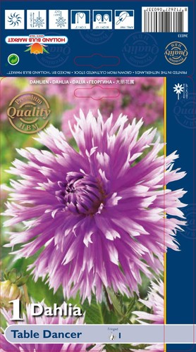 Dahlien - @,