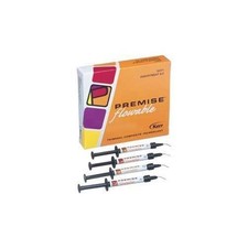 Kerr Dental 33373 Premise