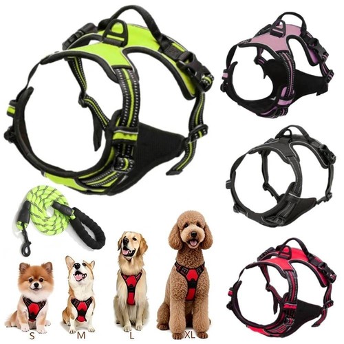 Hundegeschirr mit hundeleine - hundegeschirr,