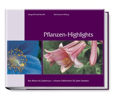 Pflanzen highlights von allium - von,