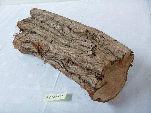 Eibe drechselholz schnitzholz - eibe,