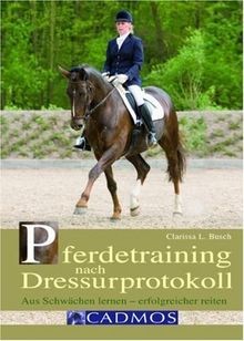 Pferdetraining nach