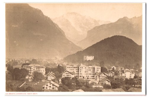 Fotografie braun dornach - braun,,