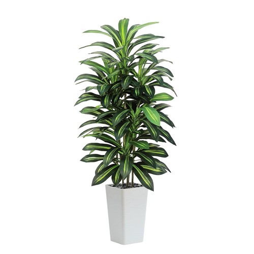 Künstlicher drachenbaum 180cm - künstlicher,