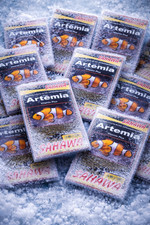 SAHAWA Artemia Frostfutter