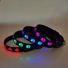 LED Halsband Hund Pfote