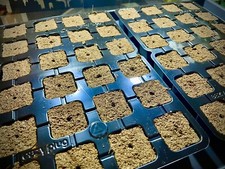 24er Eazy Plug® Tray