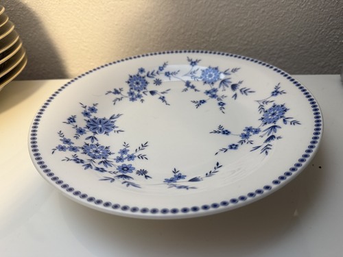 Seltmann weiden bavaria - seltmann,