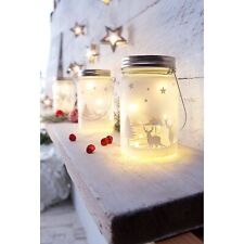 2er-Set LED-Glasleuchten Weihnachten zum Stellen oder Hängen Schraubglas-Design 