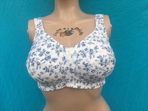 Susa blue flowers