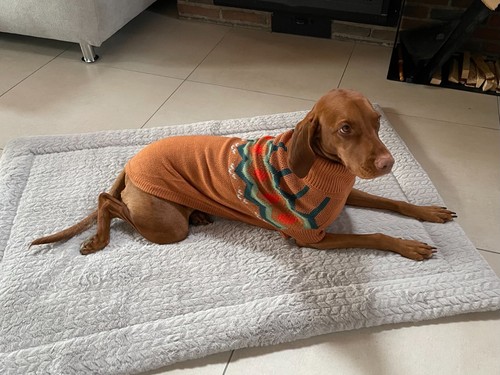 Hundepullover pulli großer - hundepullover,