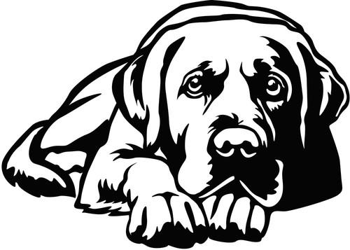 Labrador aufkleber - aufkleber,