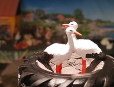 Spur G Storch, Störche