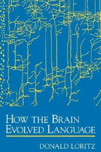 How the brain evolved - how,