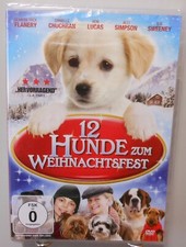 Weihnachten DVD 12 Hunde zum