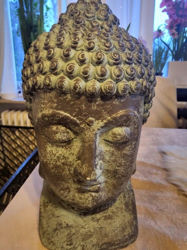 Buddha kopf - buddha,