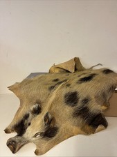 Wildschwein,Fell. Wir Sind Ein