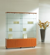 Schaukasten-Display mit