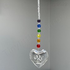 Sonnenfänger Haustier Verlust