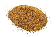 Luzerne Saatgut Futterpflanze