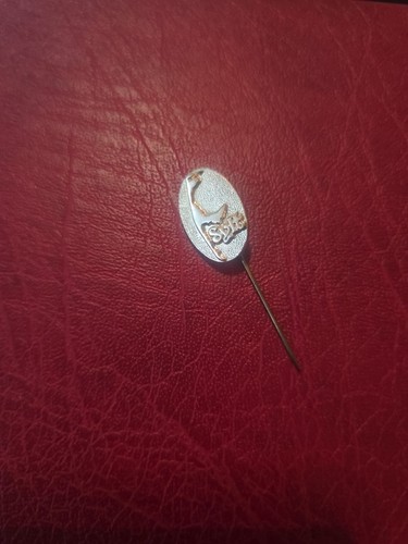 Alte anstecknadel souvenir - anstecknadel,
