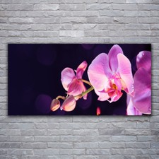 Leinwand-Bilder Wandbild