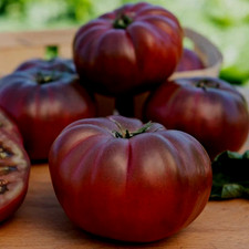 Tomatensamen 12; ukrainische Sorte "Black from Tula", aus  2025