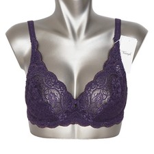 Triumph Amourette 300 W BH mit