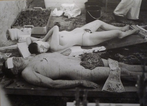 Hermann nitsch aktion - hermann,