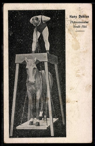 Hans dohlen kraftsportler - dohlen,,
