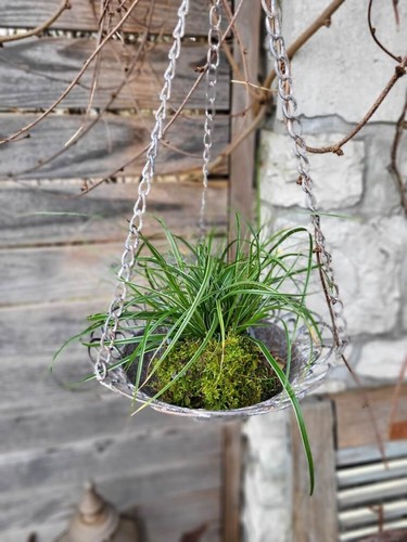 Shabby chic pflanzschale - chic,