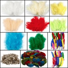 ab 15St. Federn Marabufedern Perlhuhnfedern Entenfedern Bastelfedern Dekofedern 