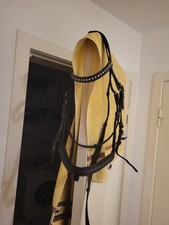 Kieffer Trense Englisch VB Cob