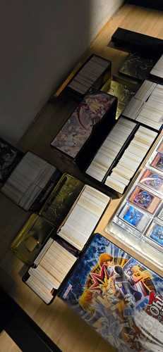 Xxl sammlung - xxl,