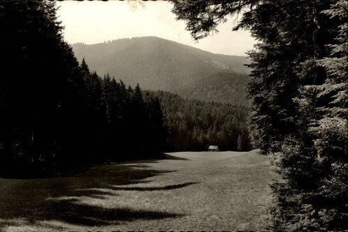 Hutzenbach schwarzwald alte - im,