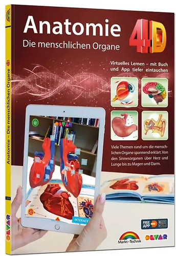 Anatomie die menschlichen - -,