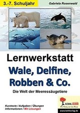Lernwerkstatt Wale, Delfine