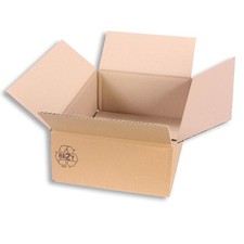 Versandkarton 300 x 200 x 100