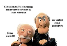 Blechschild 20x30 muppet - 20x30,,