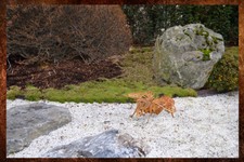 Stahlskulptur Gartendeko