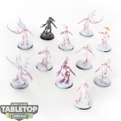 Hedonites slaanesh 11 - slaanesh,